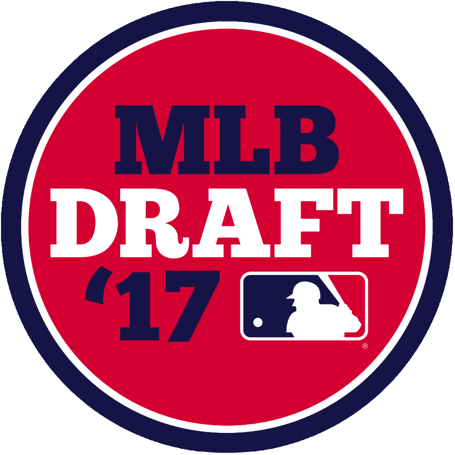 MLB Draft 2017 Primary Logo iron on heat transfer